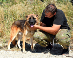 Neuznané plemená a krížence, KRÍŽENEC